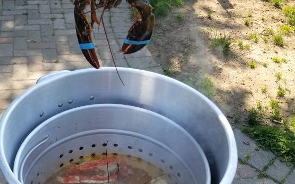 The Lobster Boil
