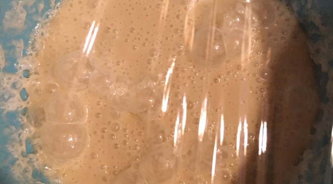 Day 2 – The Friendship Bread Adventure