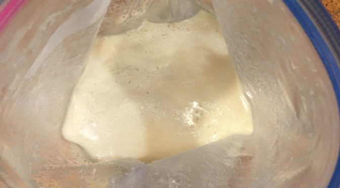 Day 5 – The Friendship Bread Adventure