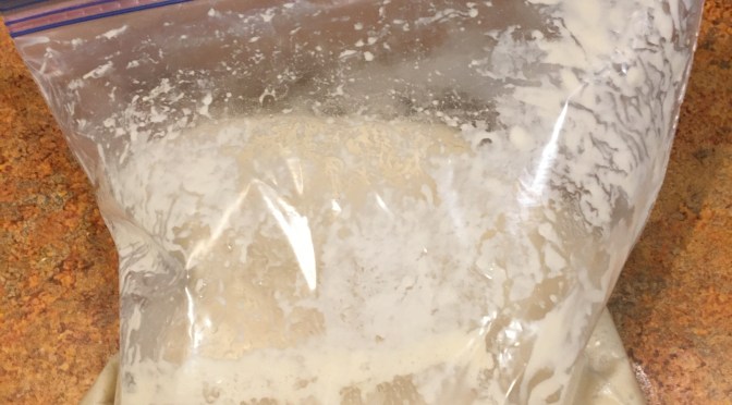 Day 7 – The Friendship Bread Adventure