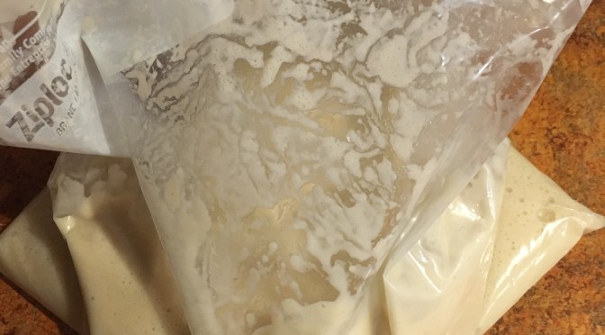 Day 8 – The Friendship Bread Adventure