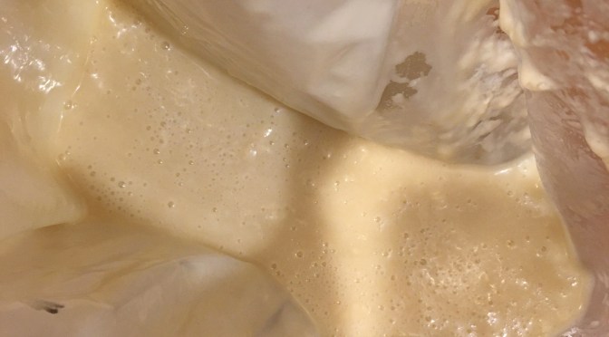 Day 9 – The Friendship Bread Adventure