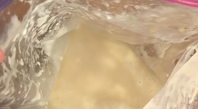 Day 10 – The Friendship Bread Adventure